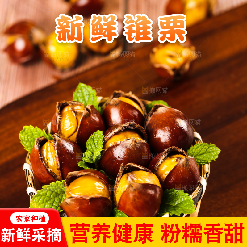 深底上的油锥栗