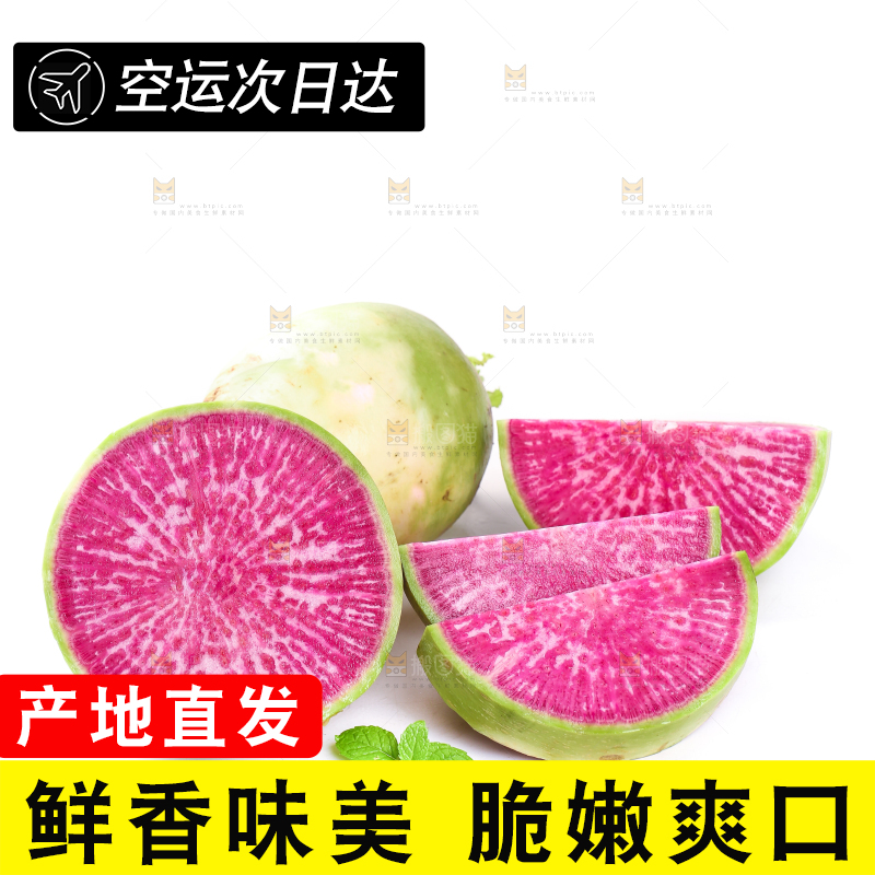 白底上的心里美萝卜