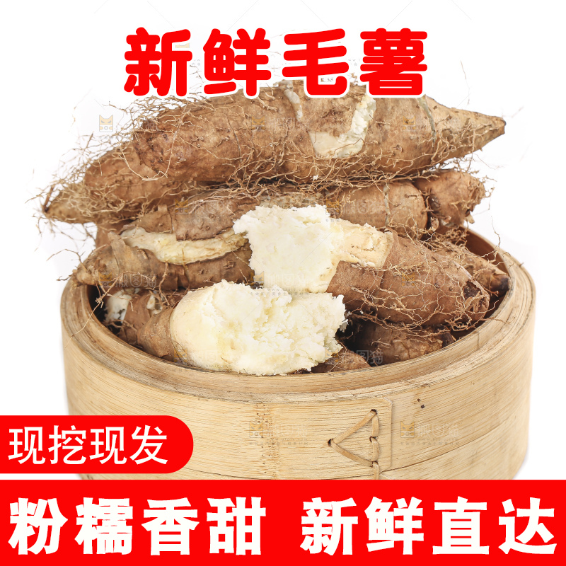 白底上的新鲜毛薯