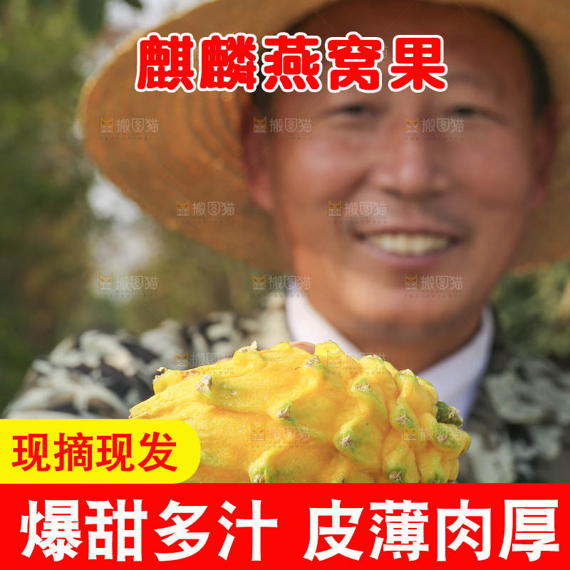 手里拿着燕窝果