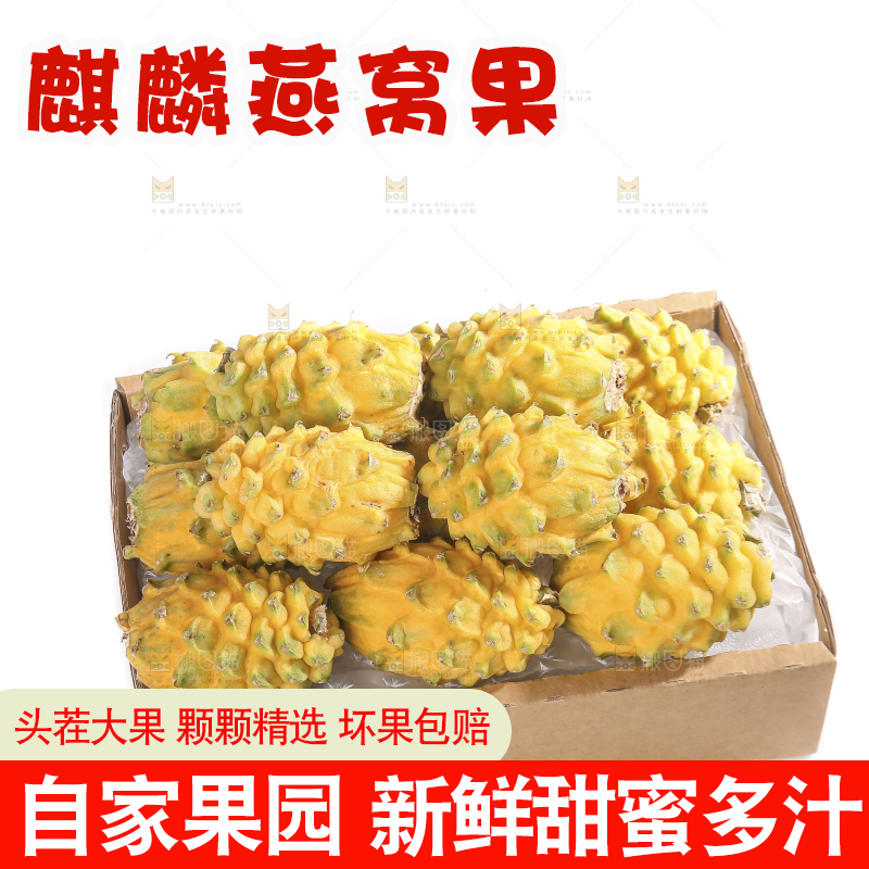白底上的燕窝果