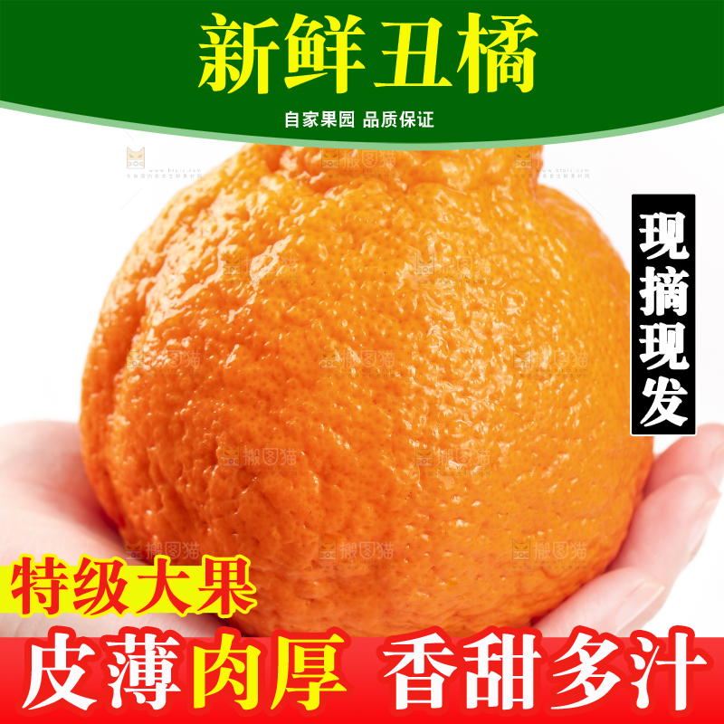 白底上的丑橘
