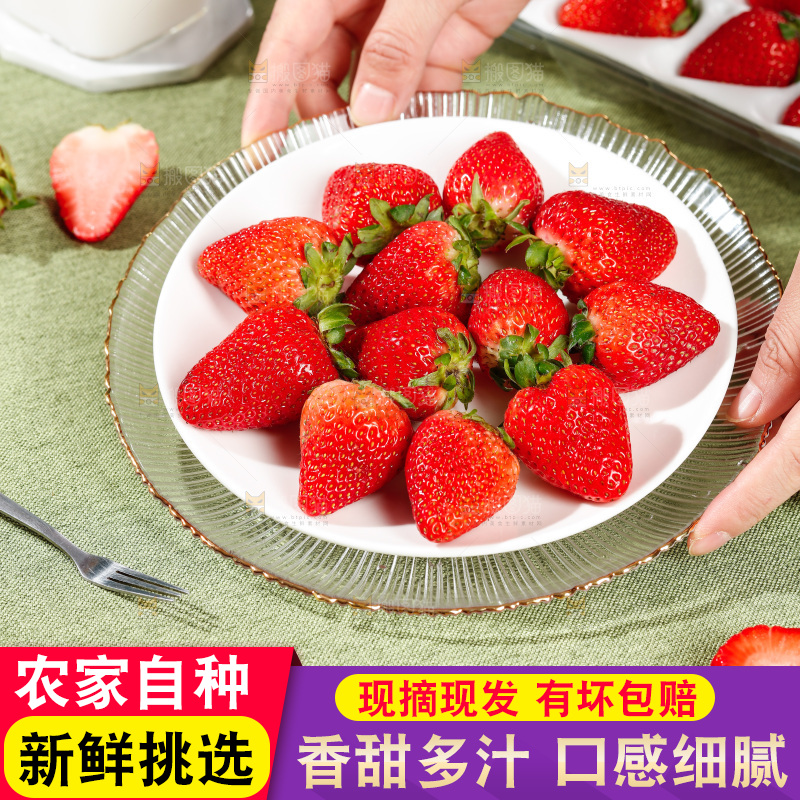浅底上的丹东草莓