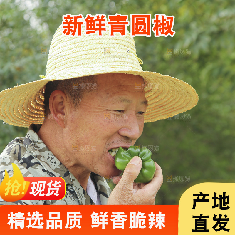 手里拿着新鲜青圆椒