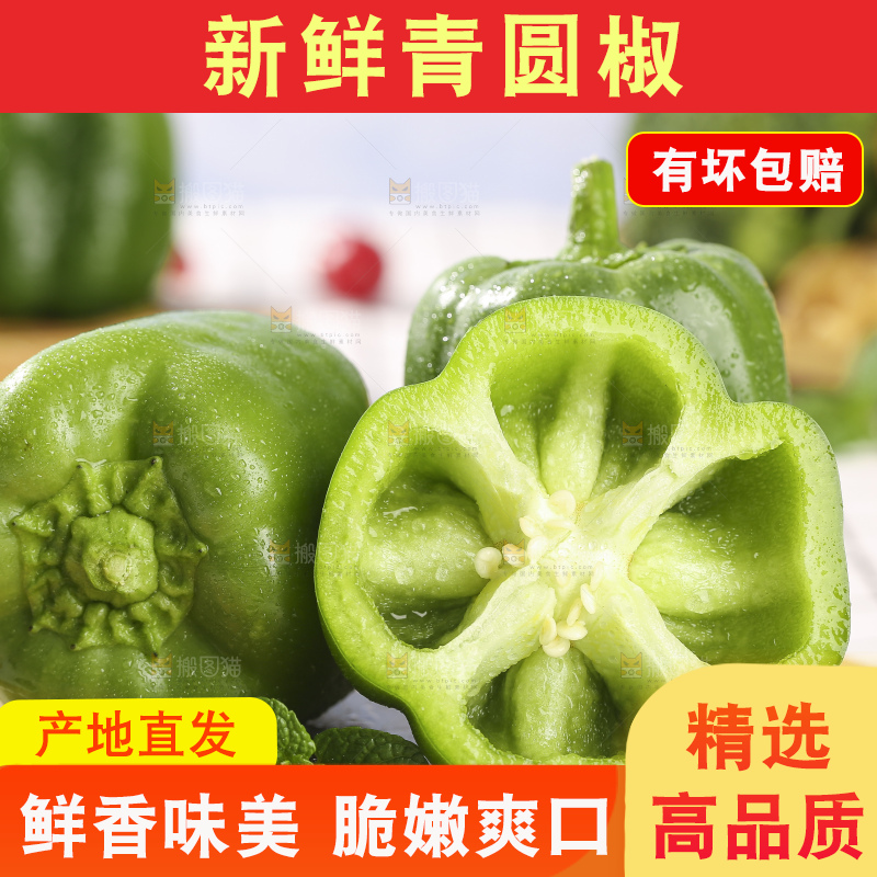 浅底上的青圆椒