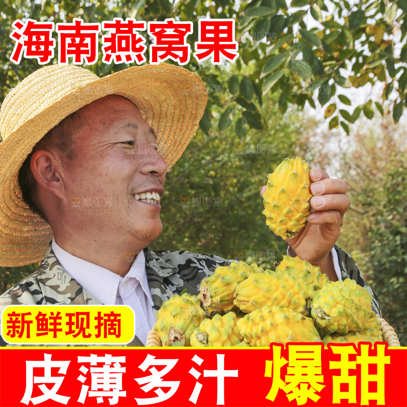 手里拿着燕窝果