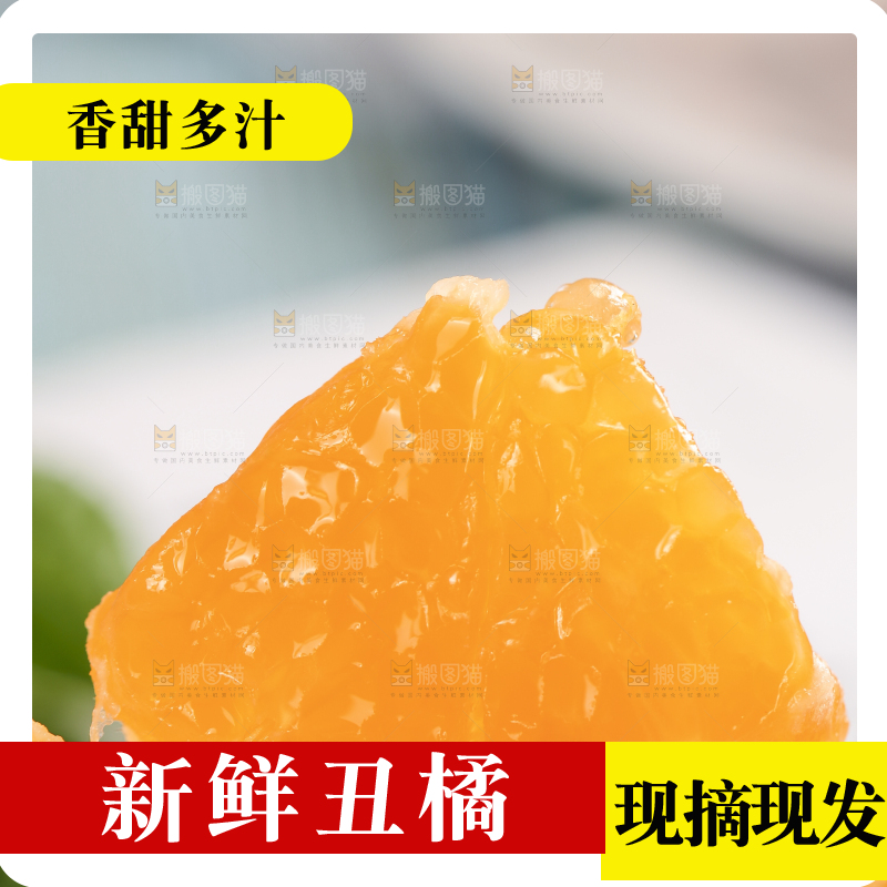 浅底上的丑八怪