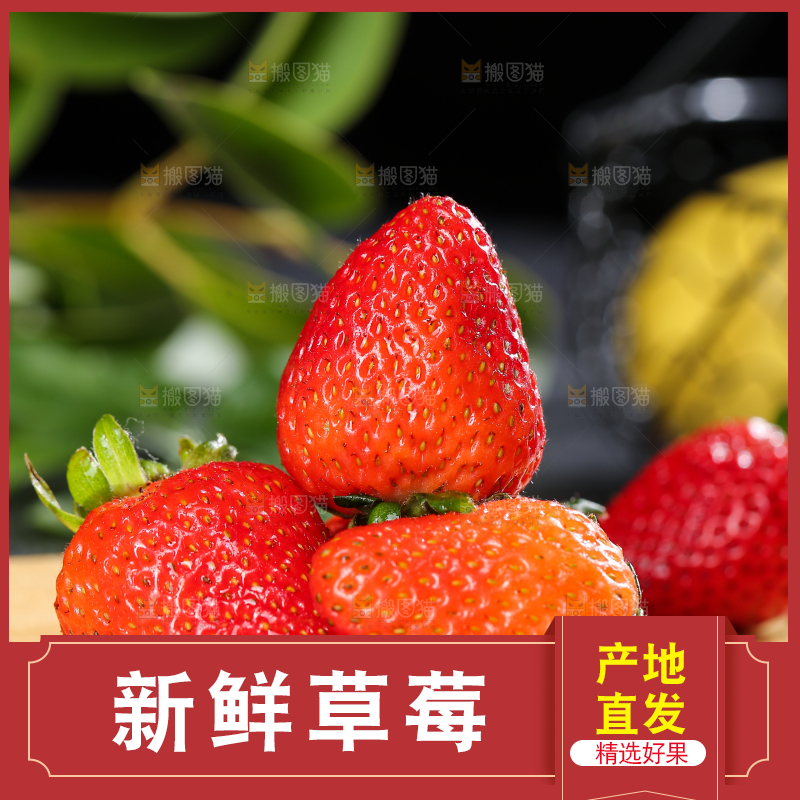 深底上的丹东草莓
