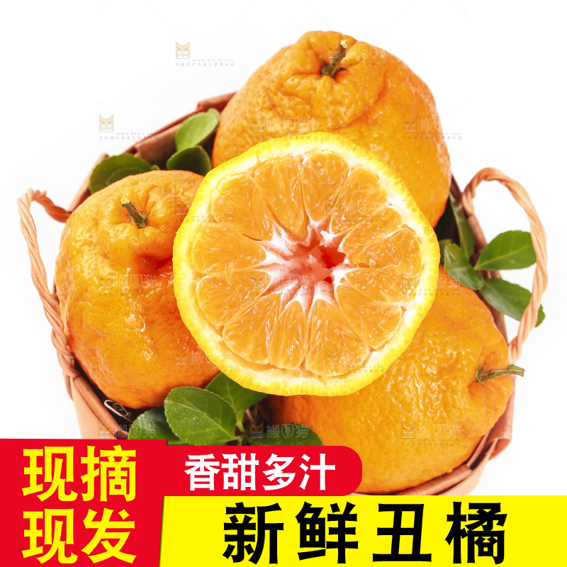 白底上的丑橘