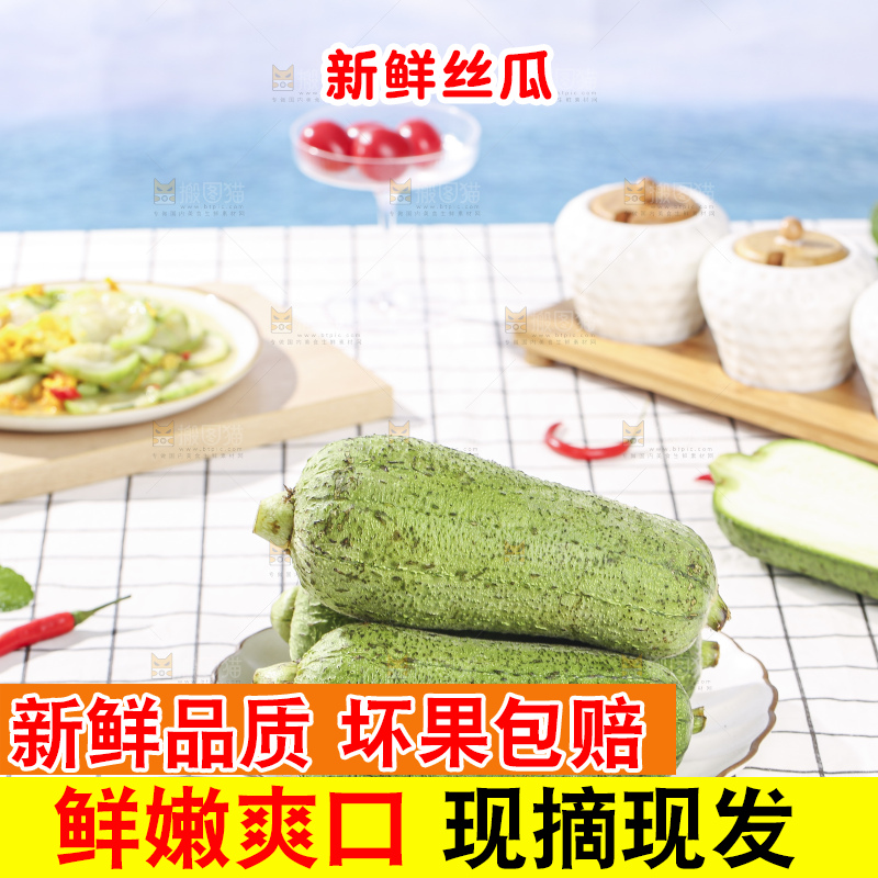 浅底上的肉丝瓜