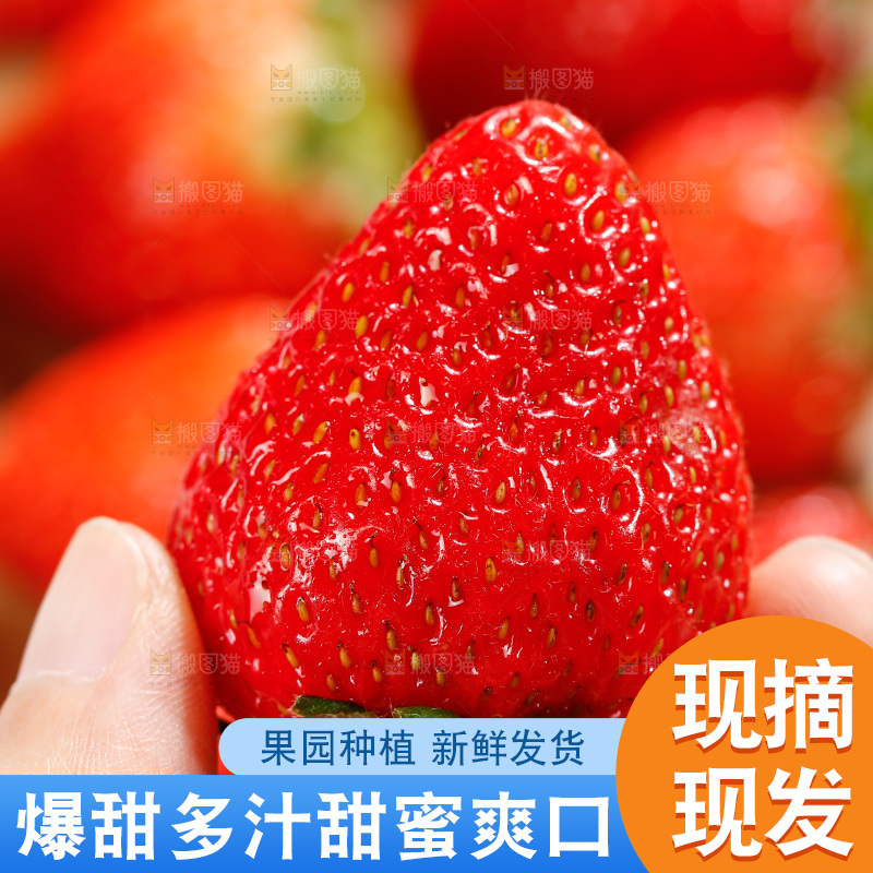 浅底上的丹东草莓