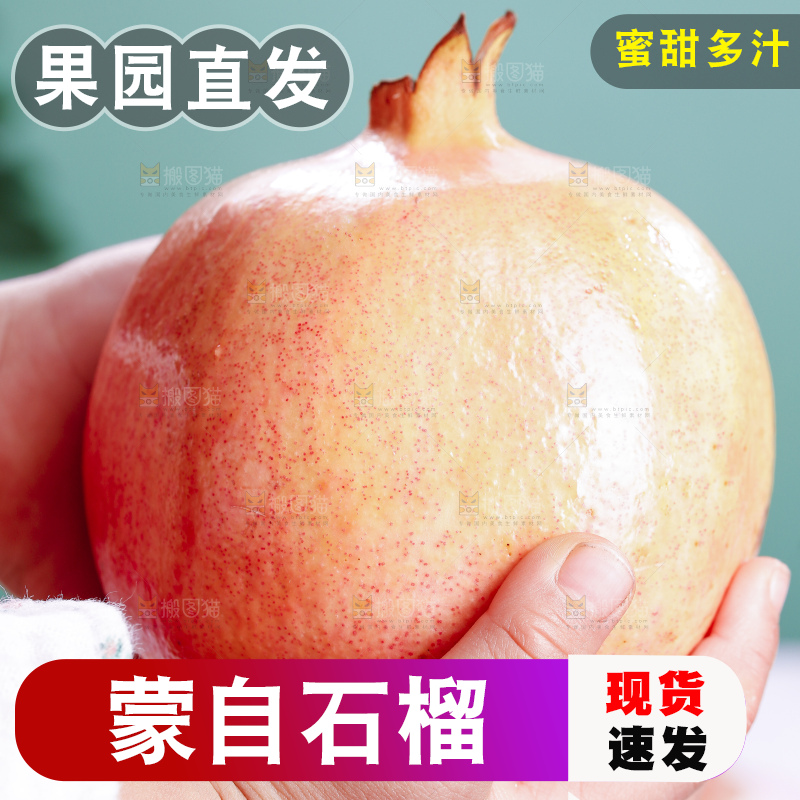 浅底上的蒙自石榴