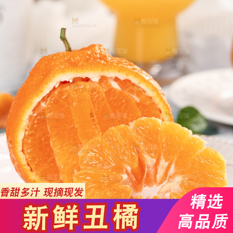 浅底上的丑八怪
