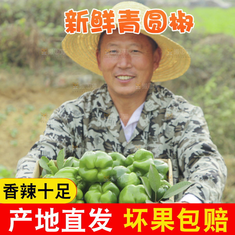 手里拿着新鲜青圆椒