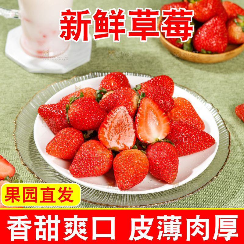 浅底上的丹东草莓