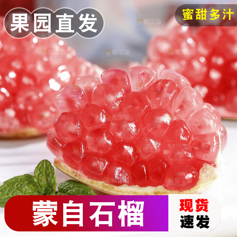 浅底上的蒙自石榴