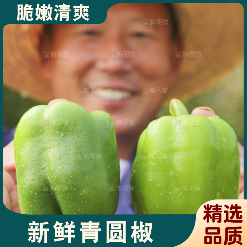 手里拿着新鲜青圆椒