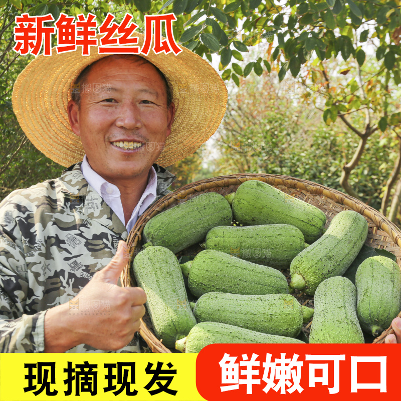 手里拿着新鲜丝瓜
