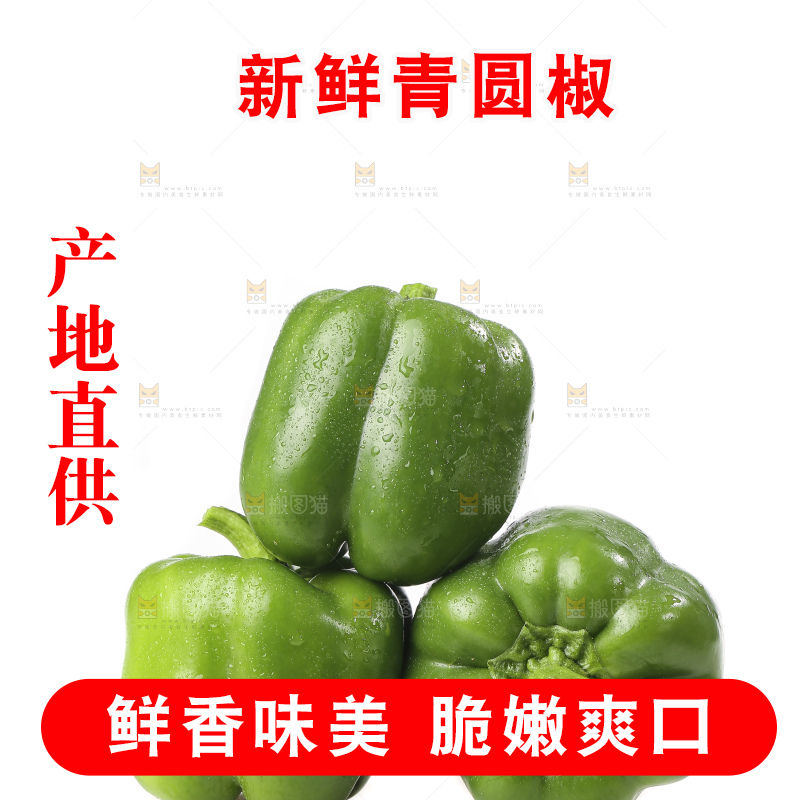 白底上的青圆椒