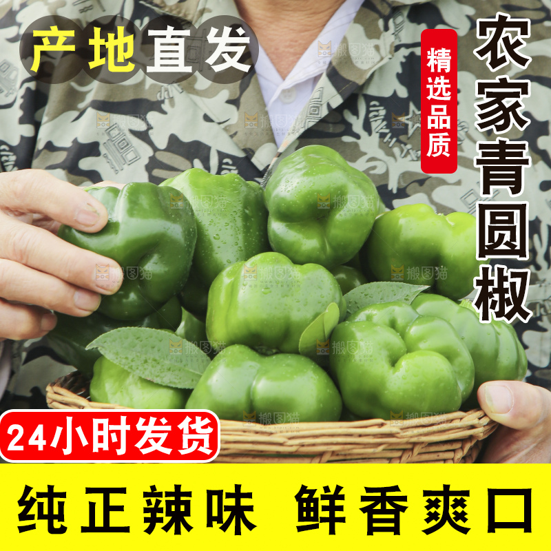 手里拿着新鲜青圆椒