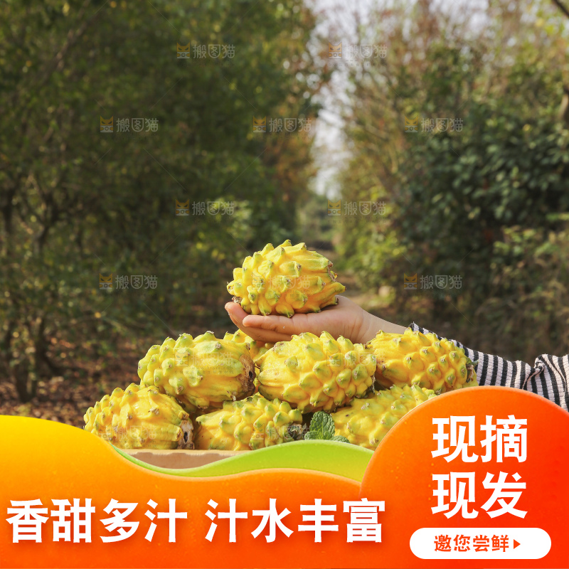 木底上的燕窝果