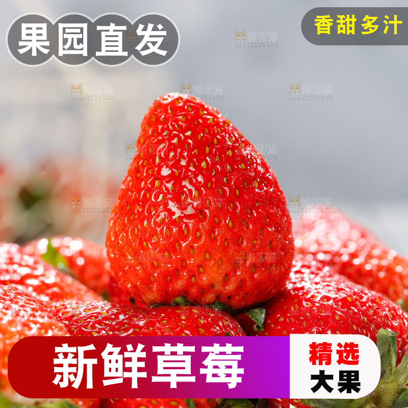 浅底上的丹东草莓
