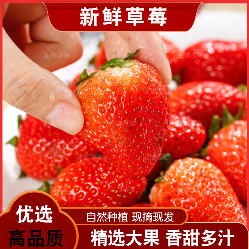 浅底上的丹东草莓