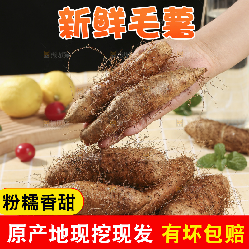 浅底上的新鲜毛薯
