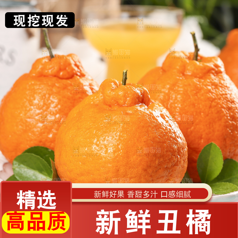 浅底上的丑八怪