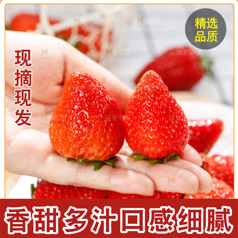 浅底上的丹东草莓
