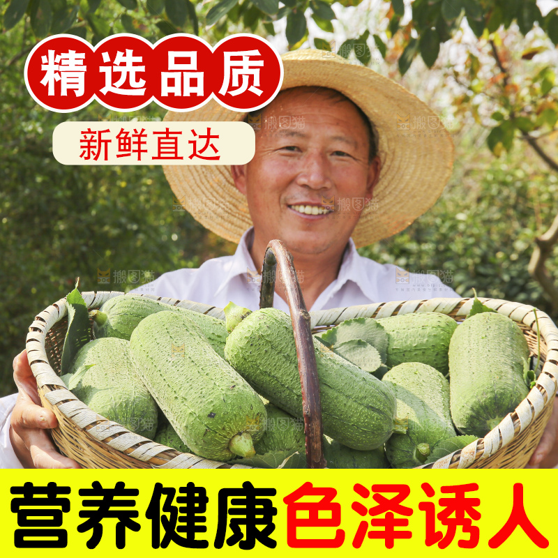 手里拿着新鲜丝瓜