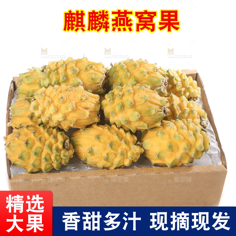 白底上的燕窝果