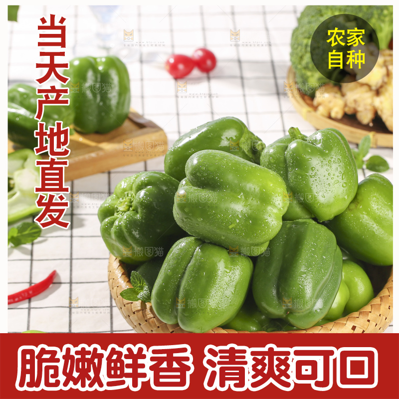 浅底上的青圆椒