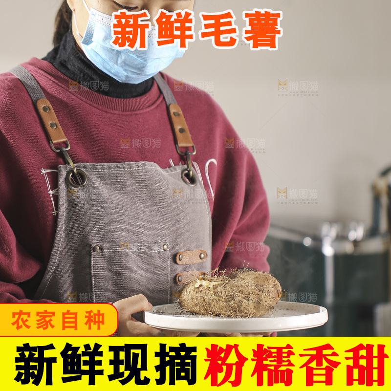 锅里蒸熟的毛薯