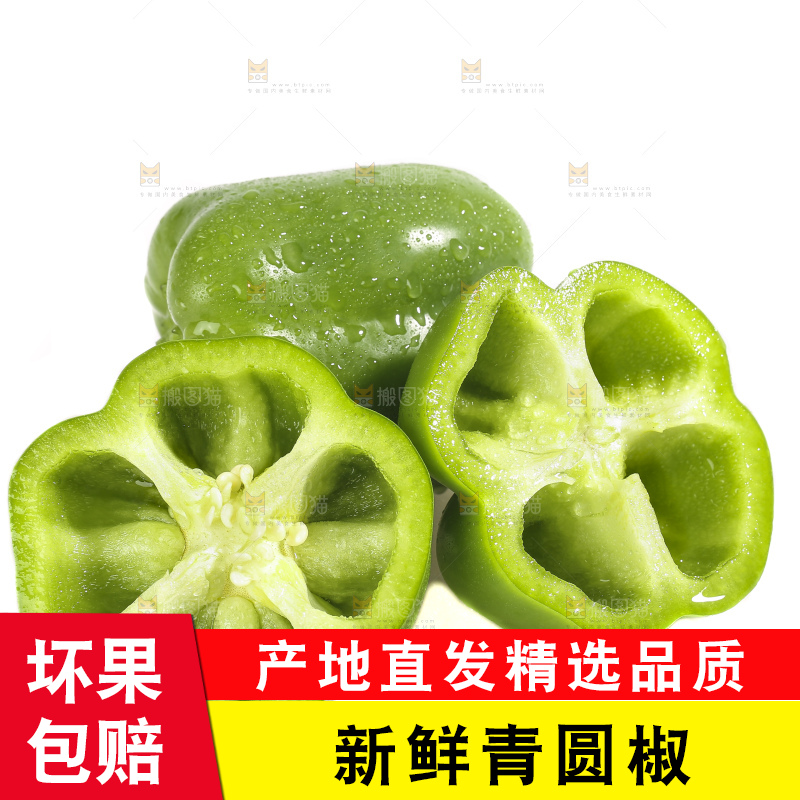白底上的青圆椒
