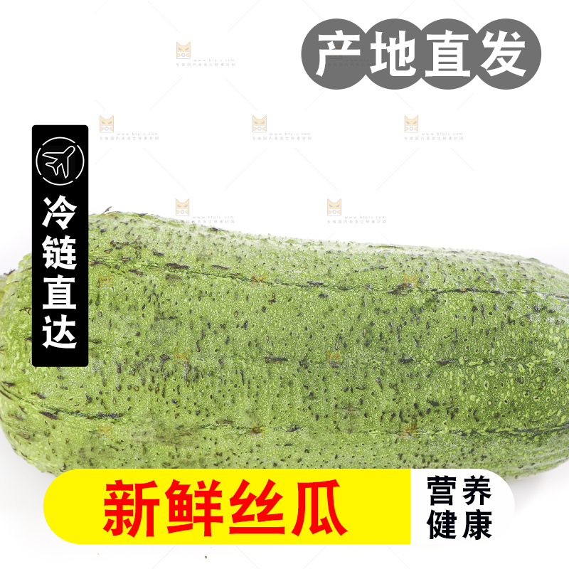 白底上的肉丝瓜