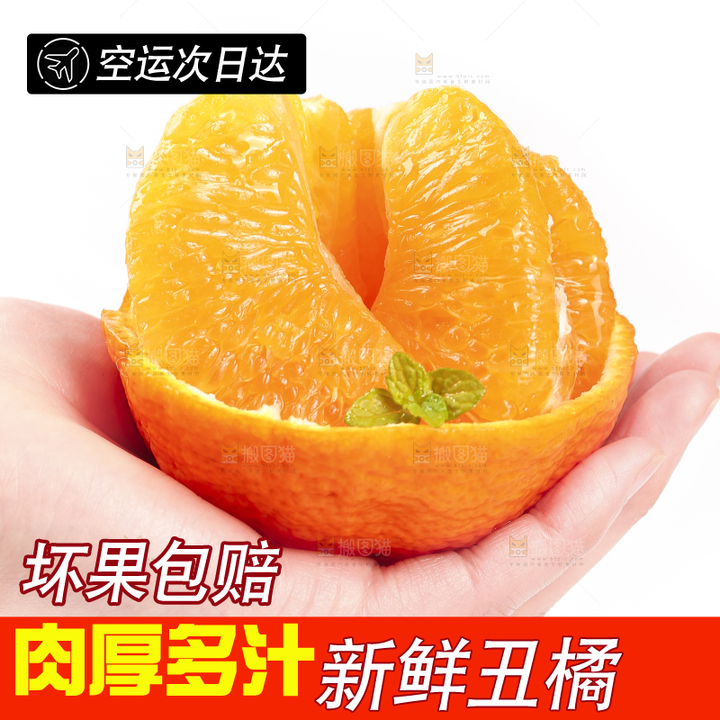 白底上的丑橘