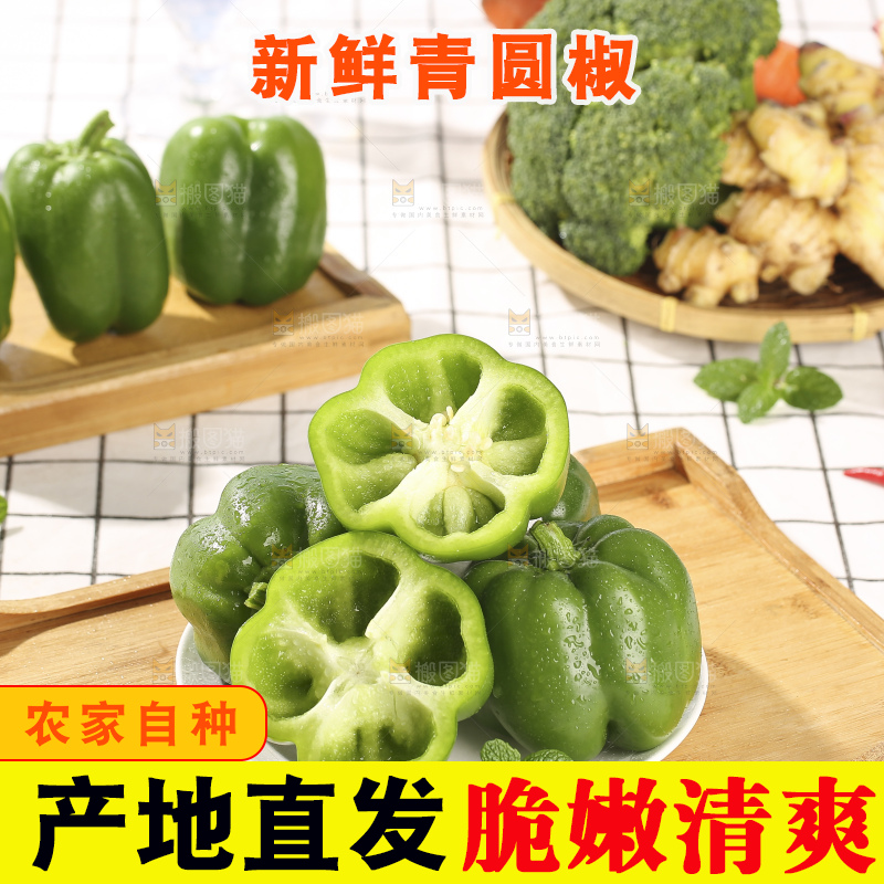 浅底上的青圆椒