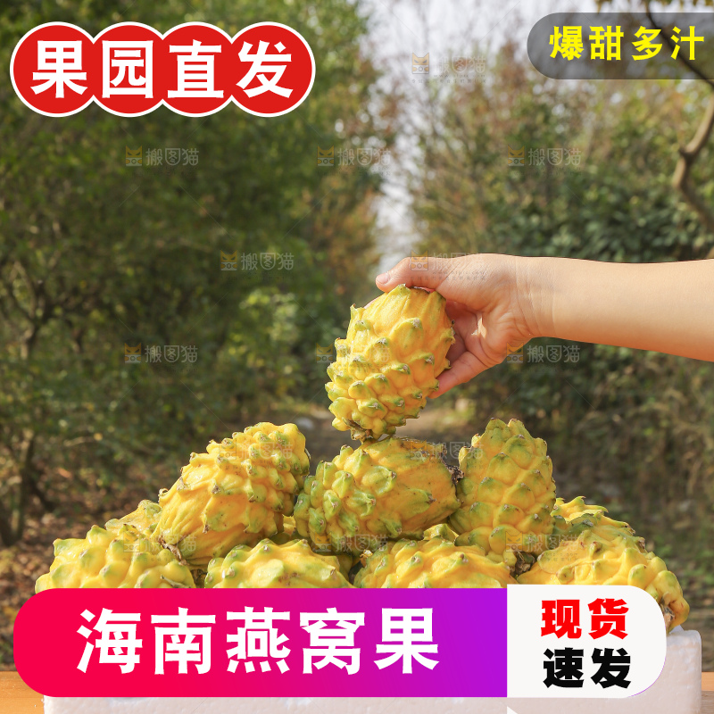 手里拿着燕窝果