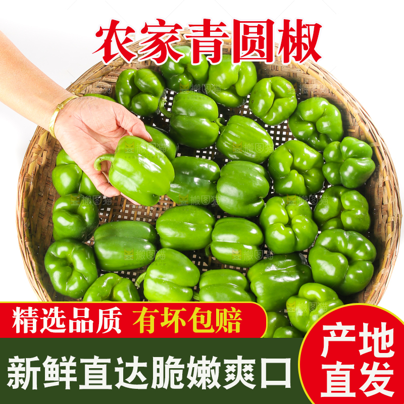 白底上的青圆椒