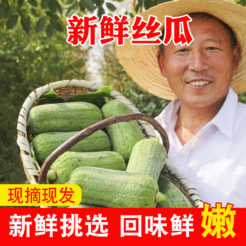 手里拿着新鲜丝瓜