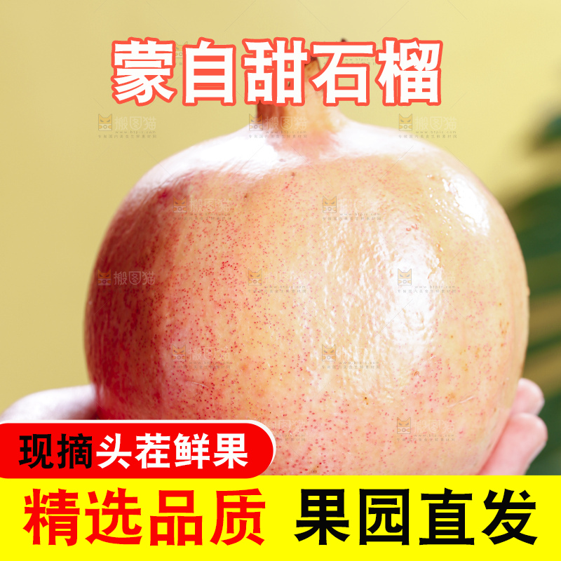 浅底上的蒙自石榴