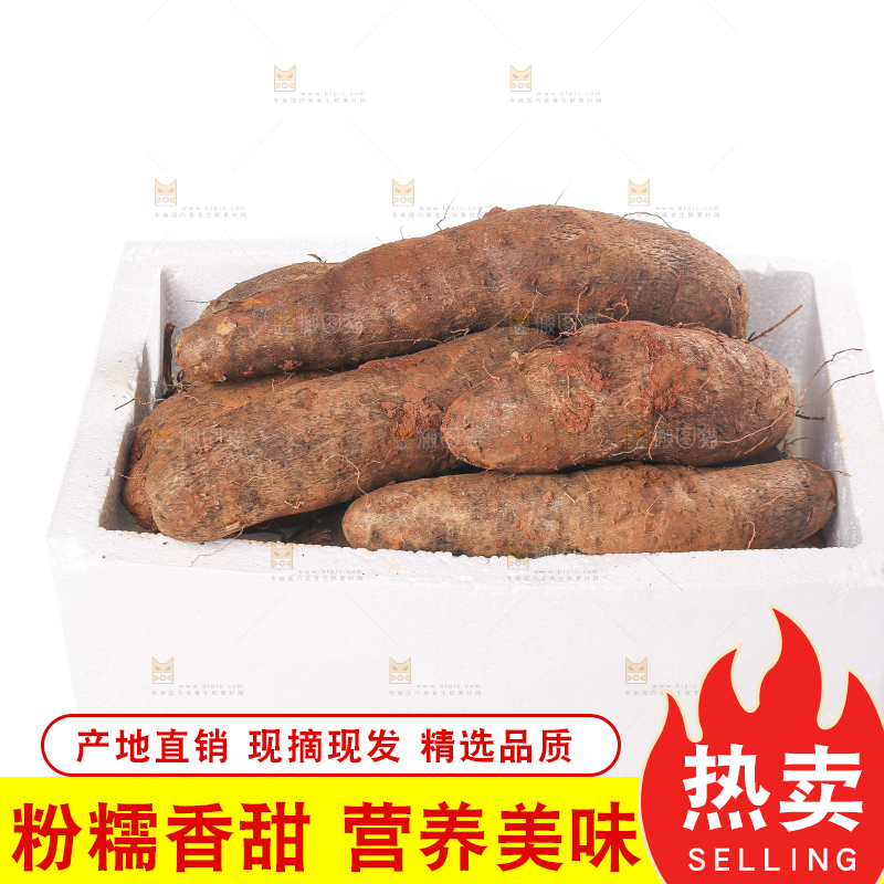 白底上的云南山药