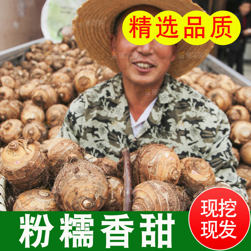 大片荔浦芋头