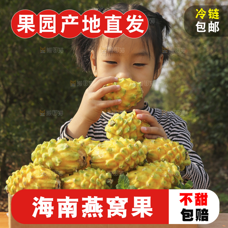 手里拿着燕窝果