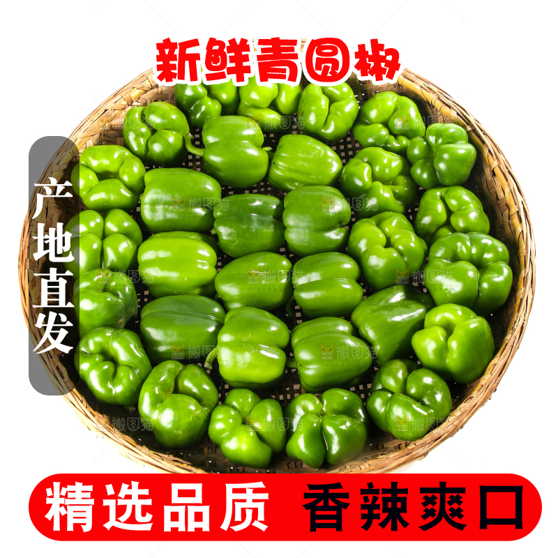白底上的青圆椒