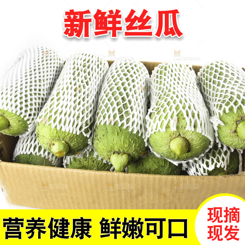 白底上的大丝瓜