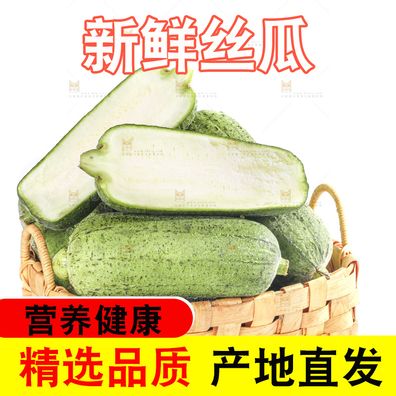 白底上的肉丝瓜