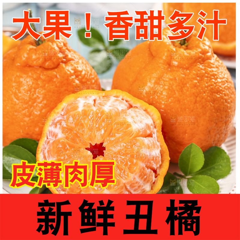 浅底上的丑八怪