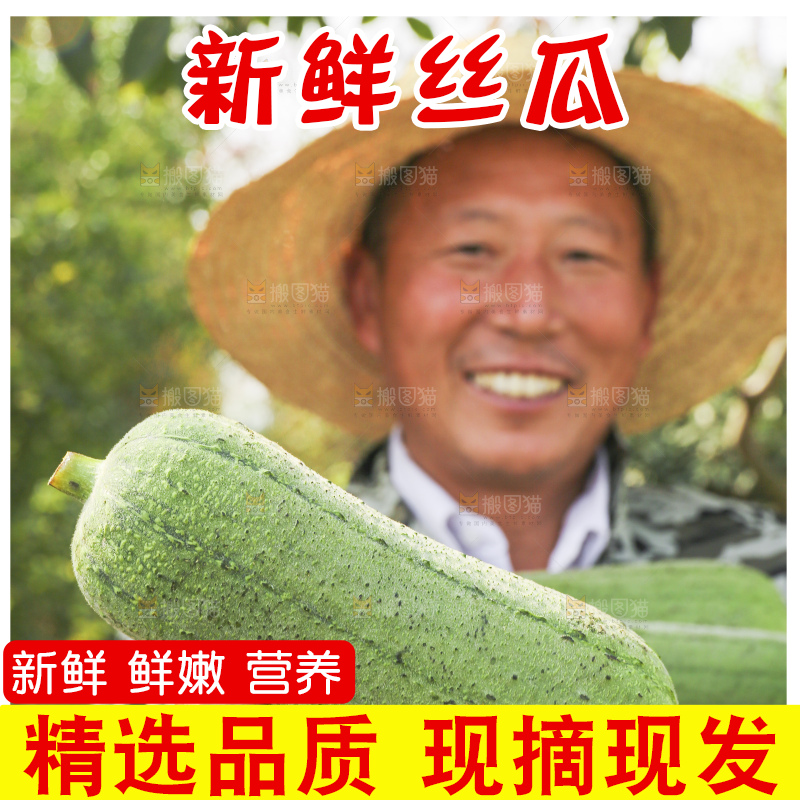 手里拿着新鲜丝瓜